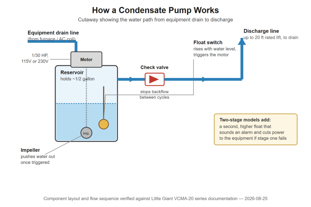 Cutaway diagram of a condensate pump showing the equipment drain line feeding a reservoir with the motor on top, a float switch and impeller inside, water flowing through a check valve to the discharge line, and a note that two-stage models add a second float that cuts power to the equipment
