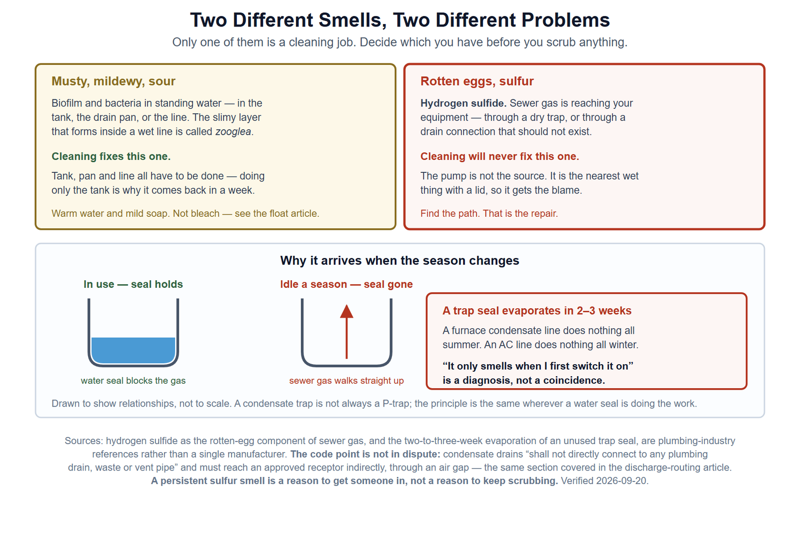 A diagnostic split based on what the smell is. On the left, a musty or mildewy smell means biofilm and stagnant water inside the tank, the pan or the drain line, and cleaning fixes it. On the right, a rotten egg or sulfur smell means hydrogen sulfide arriving from the drainage system through a dry trap or a direct drain connection, which cleaning never fixes. Below, a cross-section shows a trap holding a water seal that blocks sewer gas, beside the same trap dry after the line has sat idle, with gas passing up the line to the equipment and the blower distributing it into the house. A note records that a trap seal evaporates in two to three weeks of disuse while a condensate line is idle for a whole season, and that the code forbids condensate drains connecting directly to any plumbing drain, waste or vent pipe.